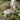 JUHAN Isolde Elegant Folding Outdoor Bistro Set from JUHAN