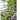 JUHAN Isolde Elegant Folding Outdoor Bistro Set from JUHAN