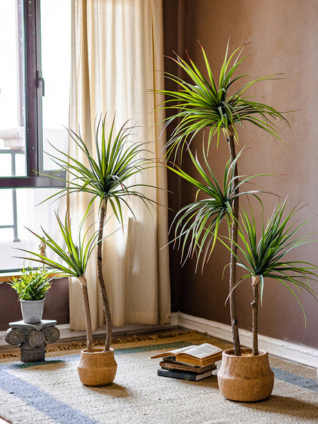 JUHAN Isolde Elegant Indoor Floor Plant Lamp from JUHAN