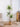 JUHAN Isolde Elegant Indoor Floor Plant Lamp from JUHAN