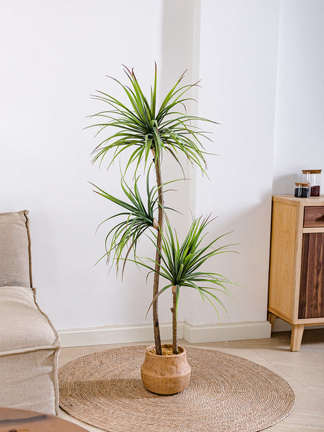 JUHAN Isolde Elegant Indoor Floor Plant Lamp from JUHAN