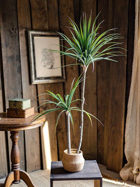 JUHAN Isolde Elegant Indoor Floor Plant Lamp from JUHAN