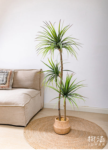 JUHAN Isolde Elegant Indoor Floor Plant Lamp from JUHAN