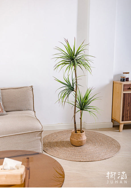 JUHAN Isolde Elegant Indoor Floor Plant Lamp from JUHAN