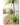 JUHAN Isolde Elegant Indoor Floor Plant Lamp from JUHAN