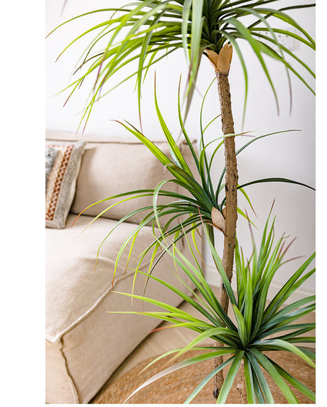 JUHAN Isolde Elegant Indoor Floor Plant Lamp from JUHAN