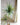 JUHAN Isolde Elegant Indoor Floor Plant Lamp from JUHAN