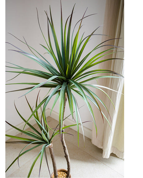JUHAN Isolde Elegant Indoor Floor Plant Lamp from JUHAN