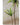 JUHAN Isolde Elegant Indoor Floor Plant Lamp from JUHAN