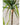 JUHAN Isolde Elegant Indoor Floor Plant Lamp from JUHAN