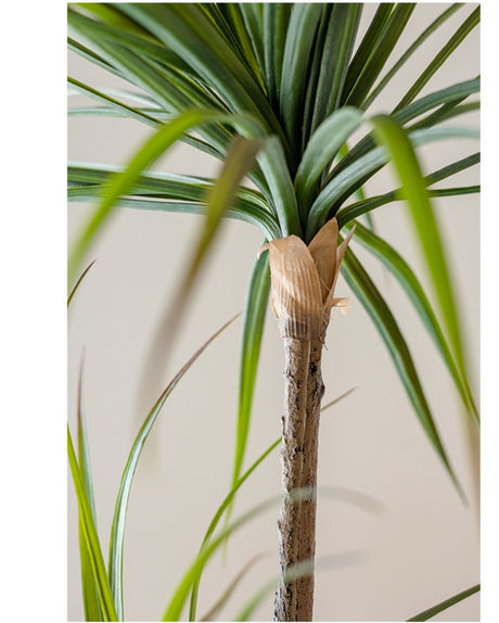 JUHAN Isolde Elegant Indoor Floor Plant Lamp from JUHAN