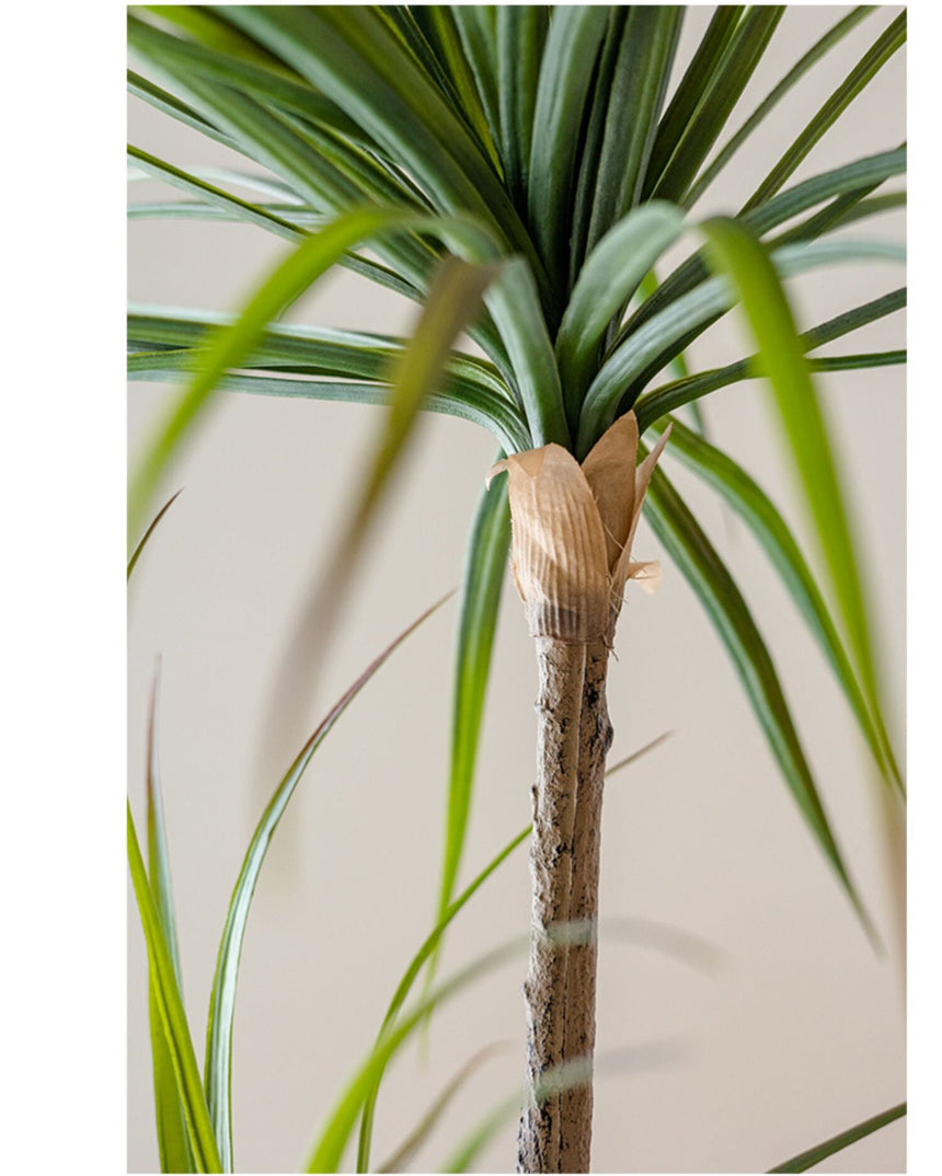 JUHAN Isolde Elegant Indoor Floor Plant Lamp from JUHAN