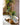 JUHAN Isolde Elegant Indoor Floor Plant Lamp from JUHAN