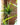 JUHAN Isolde Elegant Indoor Floor Plant Lamp from JUHAN