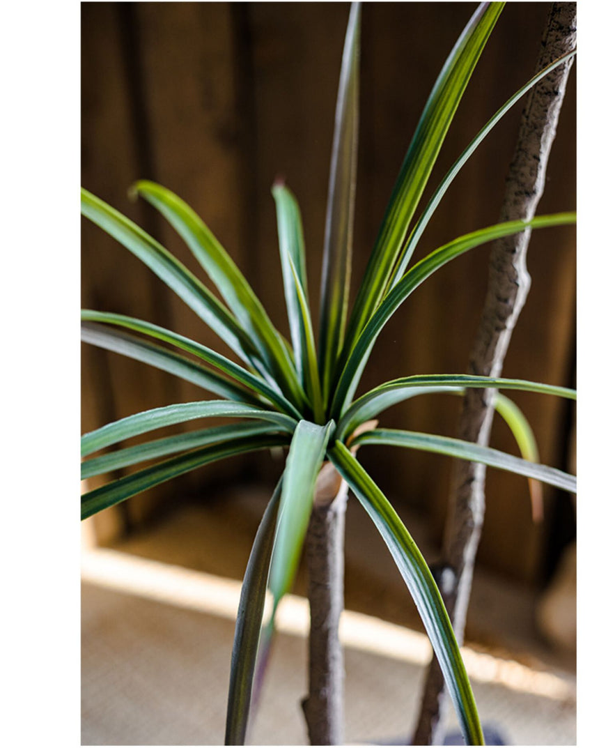 JUHAN Isolde Elegant Indoor Floor Plant Lamp from JUHAN