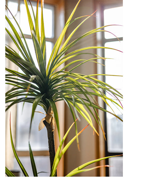 JUHAN Isolde Elegant Indoor Floor Plant Lamp from JUHAN