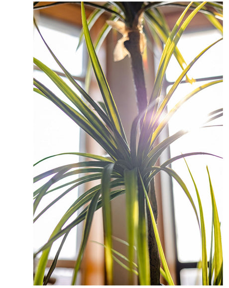 JUHAN Isolde Elegant Indoor Floor Plant Lamp from JUHAN