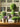 JUHAN Isolde Lush Greenery Decorative Potted Plant from JUHAN