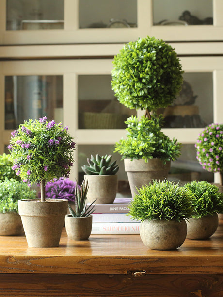 JUHAN Isolde Lush Greenery Decorative Potted Plant from JUHAN