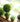 JUHAN Isolde Lush Greenery Decorative Potted Plant from JUHAN