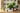 JUHAN Isolde Lush Greenery Decorative Potted Plant from JUHAN