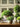 JUHAN Isolde Lush Greenery Decorative Potted Plant from JUHAN