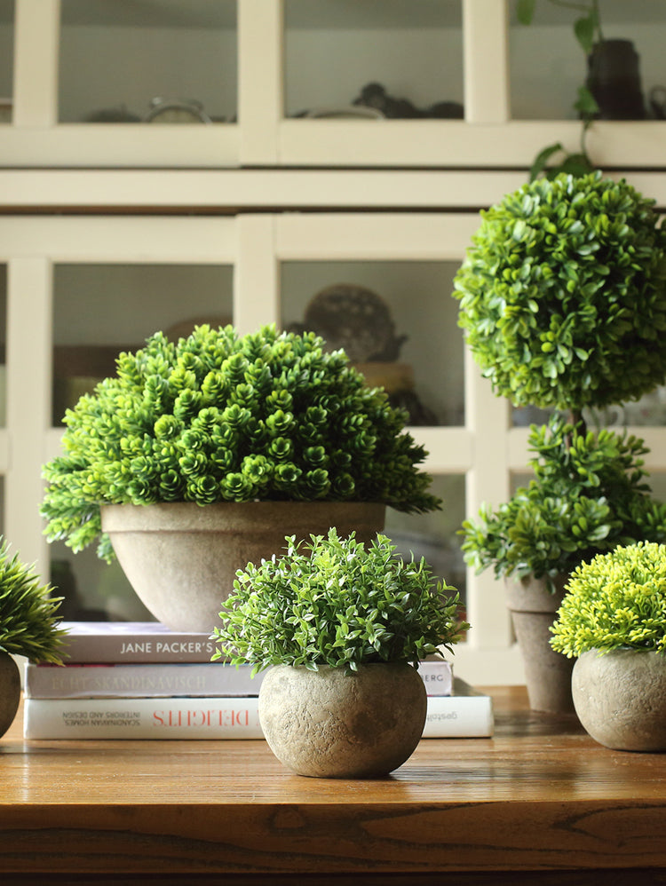 JUHAN Isolde Lush Greenery Decorative Potted Plant from JUHAN
