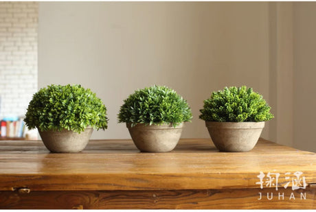 JUHAN Isolde Lush Greenery Decorative Potted Plant from JUHAN