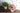 JUHAN Isolde Lush Greenery Decorative Potted Plant from JUHAN
