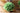 JUHAN Isolde Lush Greenery Decorative Potted Plant from JUHAN