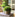 JUHAN Isolde Lush Greenery Decorative Potted Plant from JUHAN