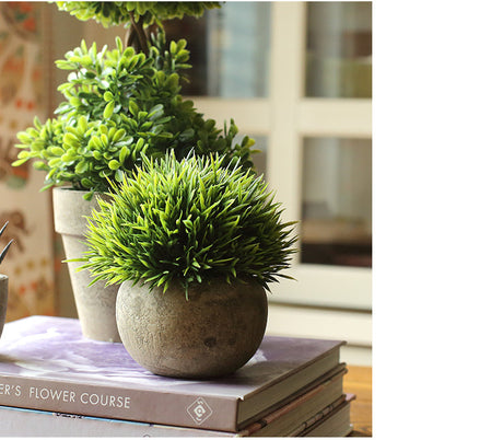 JUHAN Isolde Lush Greenery Decorative Potted Plant from JUHAN