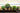JUHAN Isolde Lush Greenery Decorative Potted Plant from JUHAN