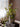 JUHAN Isolde Lush Vibrant Floral Arrangement Decor from JUHAN