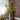 JUHAN Isolde Lush Vibrant Floral Arrangement Decor from JUHAN