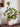 JUHAN Isolde Lush Vibrant Floral Arrangement Decor from JUHAN