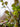 JUHAN Isolde Lush Vibrant Floral Arrangement Decor from JUHAN
