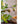 JUHAN Isolde Lush Vibrant Floral Arrangement Decor from JUHAN