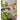 JUHAN Isolde Lush Vibrant Floral Arrangement Decor from JUHAN