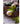 JUHAN Isolde Lush Vibrant Floral Arrangement Decor from JUHAN