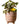 JUHAN Isolde Retro Big Breathable Flowerpot Boho Style from JUHAN
