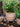 JUHAN Isolde Retro Big Breathable Flowerpot Boho Style from JUHAN