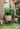 JUHAN Isolde Retro Big Breathable Flowerpot Boho Style from JUHAN