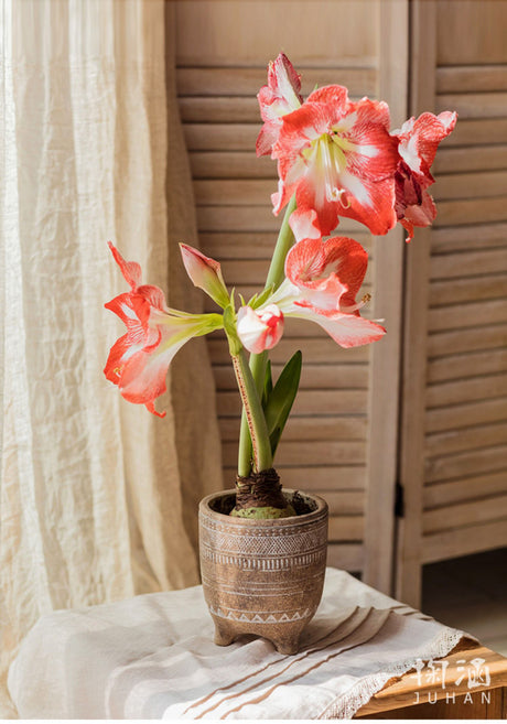 JUHAN Isolde Retro Big Breathable Flowerpot Boho Style from JUHAN