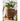JUHAN Isolde Retro Big Breathable Flowerpot Boho Style from JUHAN