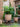 JUHAN Isolde Retro Big Breathable Flowerpot Boho Style from JUHAN