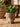 JUHAN Isolde Retro Big Breathable Flowerpot Boho Style from JUHAN