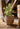 JUHAN Isolde Retro Big Breathable Flowerpot Boho Style from JUHAN