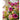 JUHAN Isolde Retro High-End Jewelry Living Room Decor from JUHAN