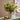 JUHAN Isolde Retro High-End Jewelry Living Room Decor from JUHAN